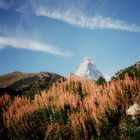 Matterhorn, Zermatt Switzerland